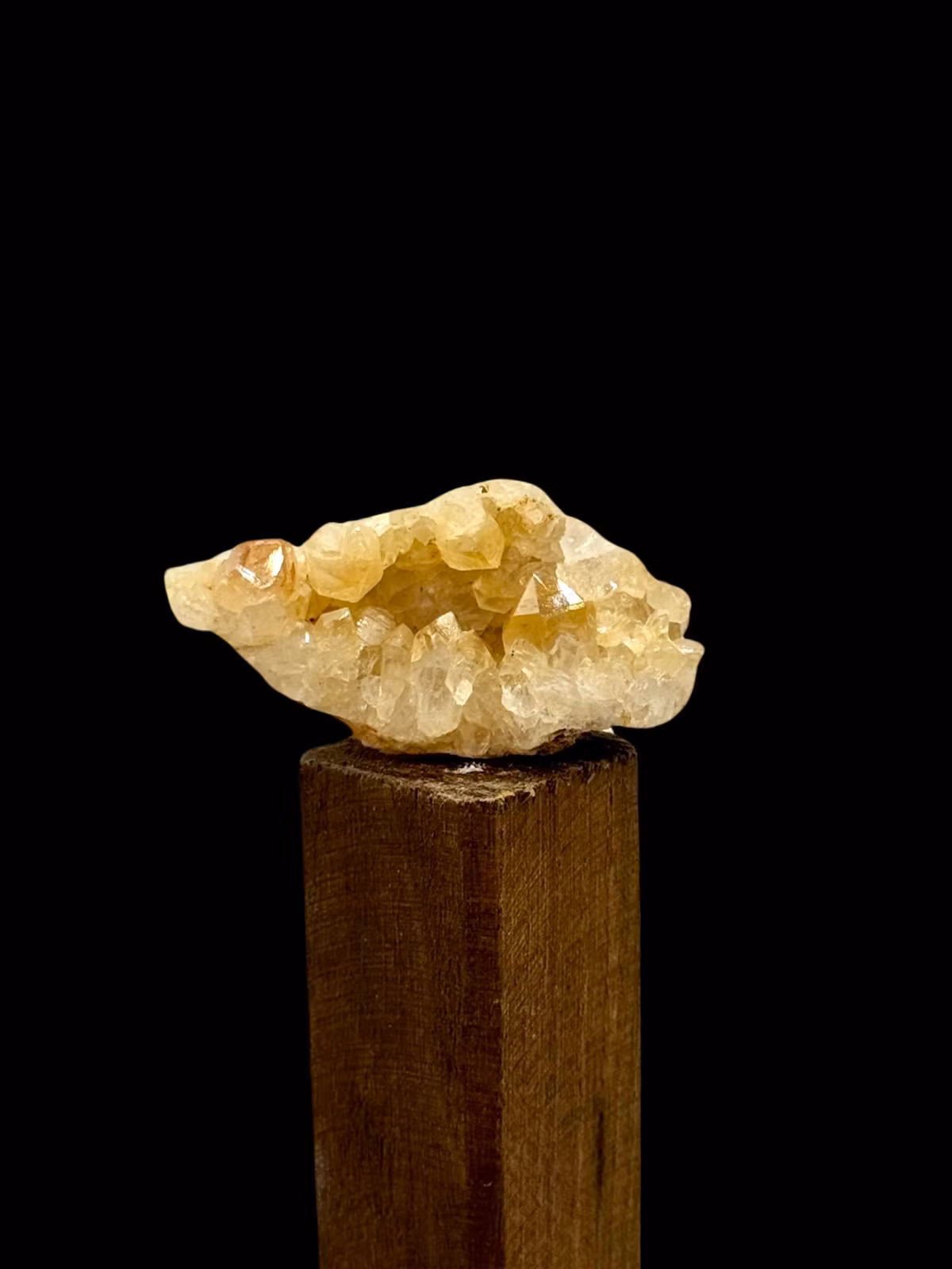 Golden Healer, Kluster (Limonite) AA-kvalitet
