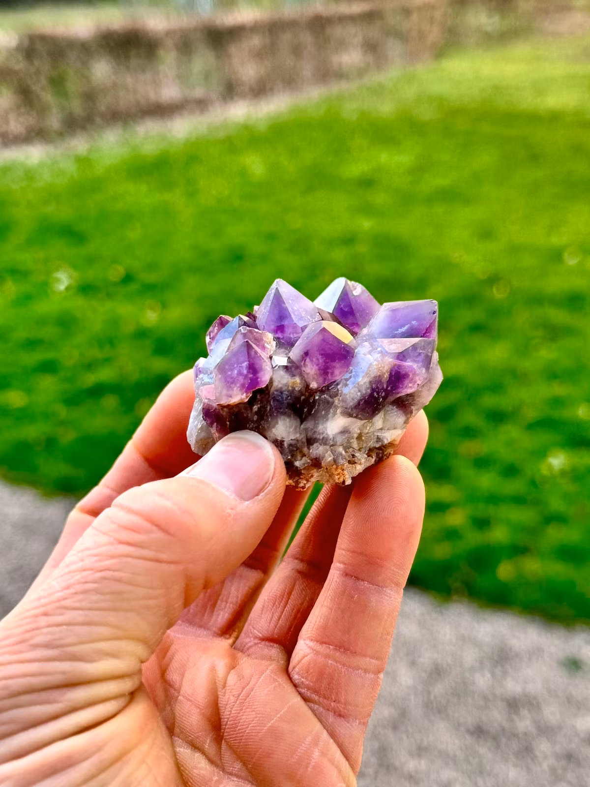 Ametist, kluster (Mapatizya, Zambia) AAA-kvalitet