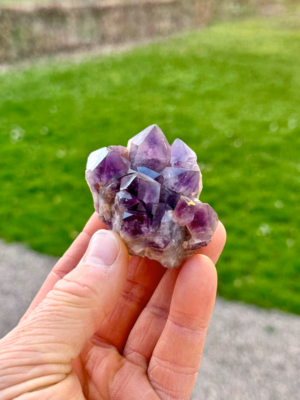 Ametist, kluster (Mapatizya, Zambia) AAA-kvalitet