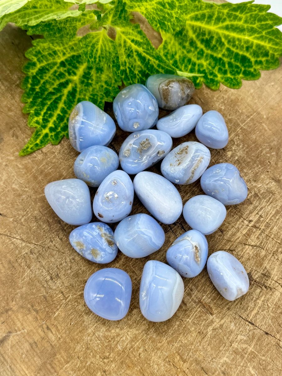 Blå Bandagat (Blue lace), trumlad