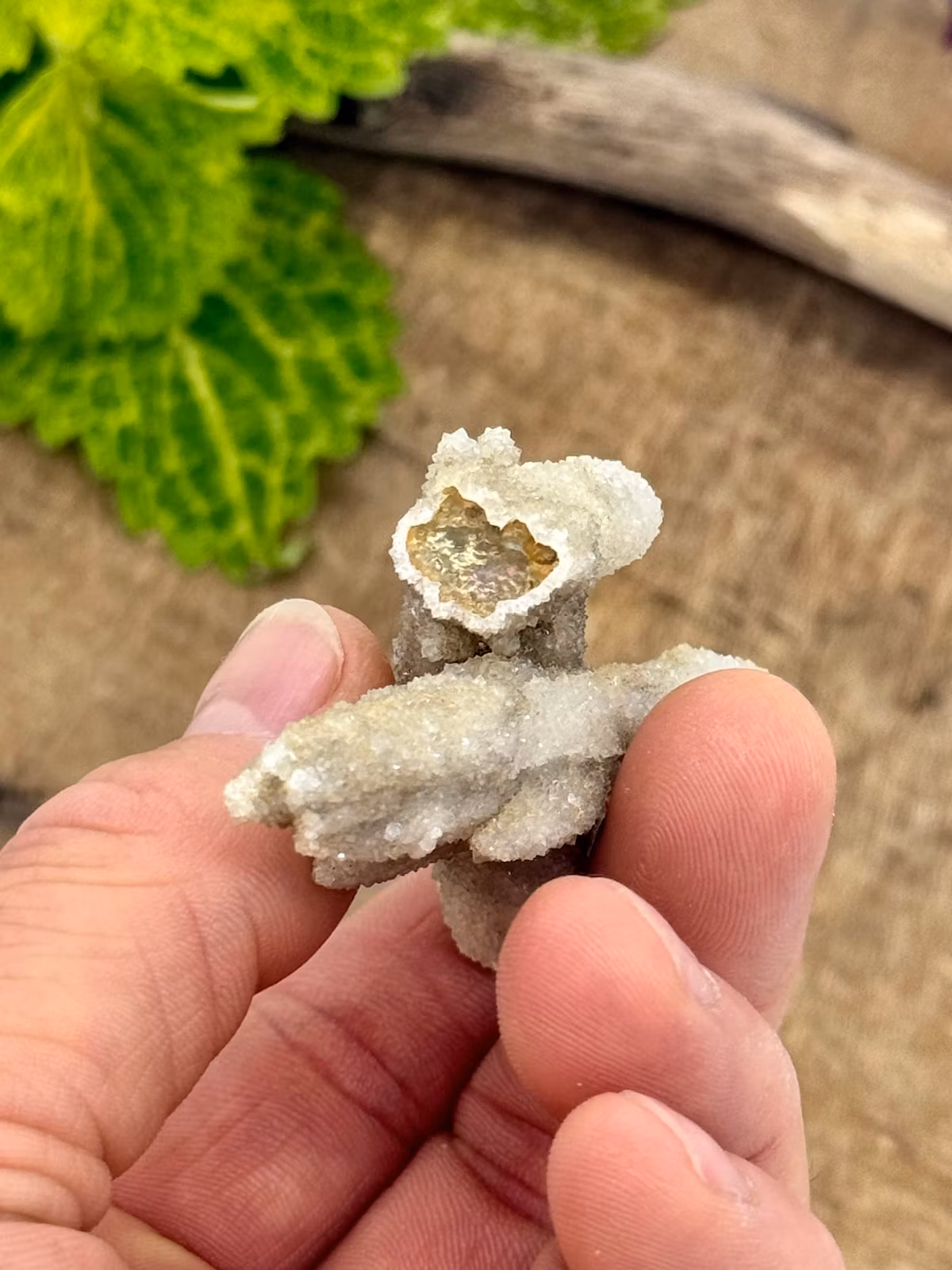 Kvartsbelagd Pseudomorf Kalcit