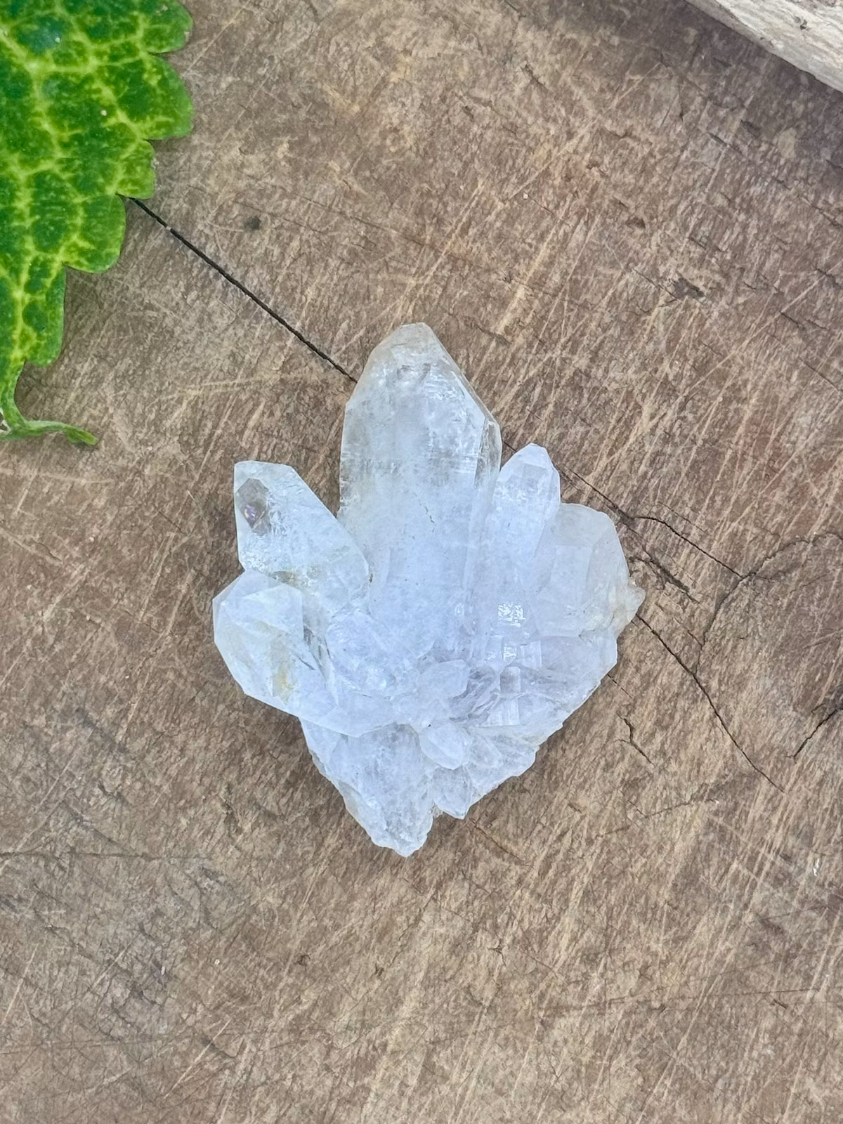 Kluster Bergkristall (Namibia)