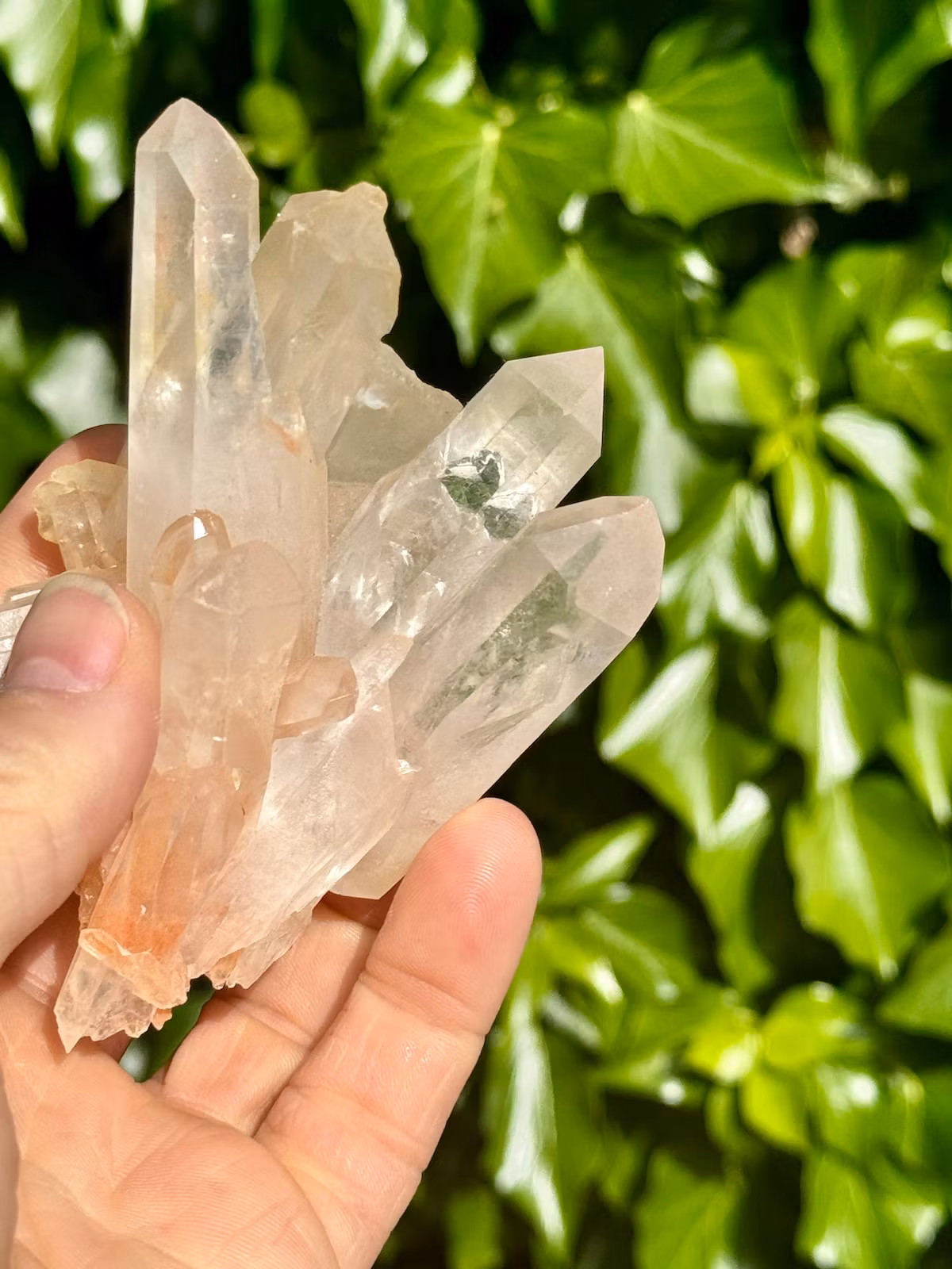 Kluster Bergkristall AA-kvalitet