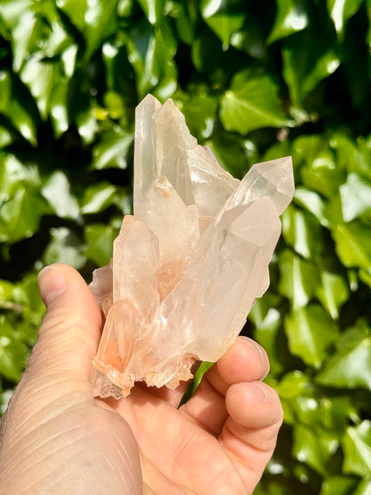 Kluster Bergkristall AA-kvalitet