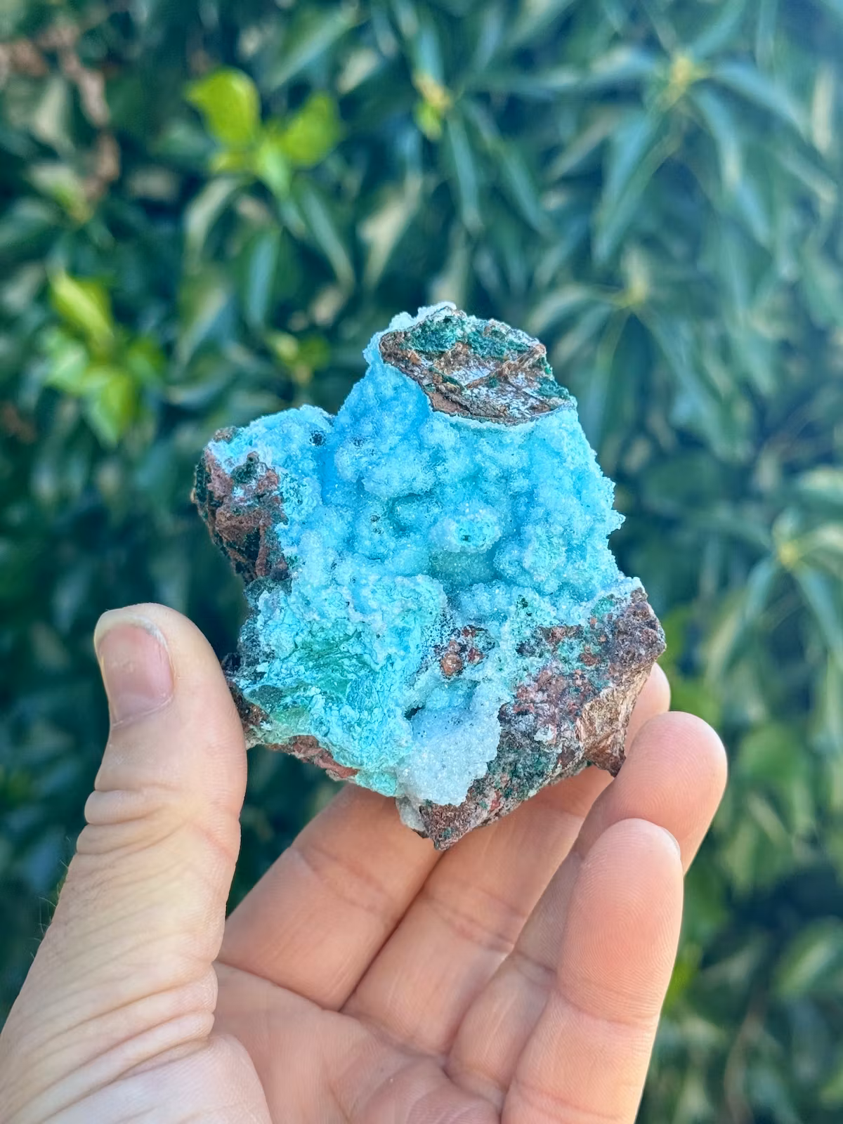 Krysokolla och Dolomit täckt av druzy bergkristall, AAA-kvalitet