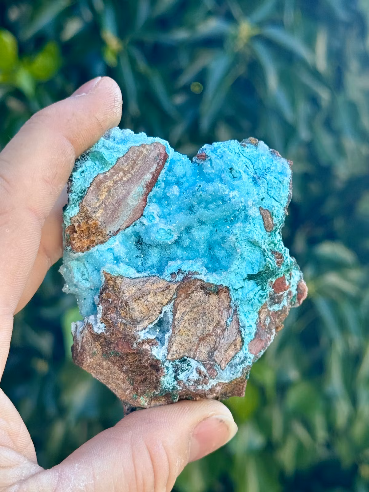 Krysokolla och Dolomit täckt av druzy bergkristall, AAA-kvalitet