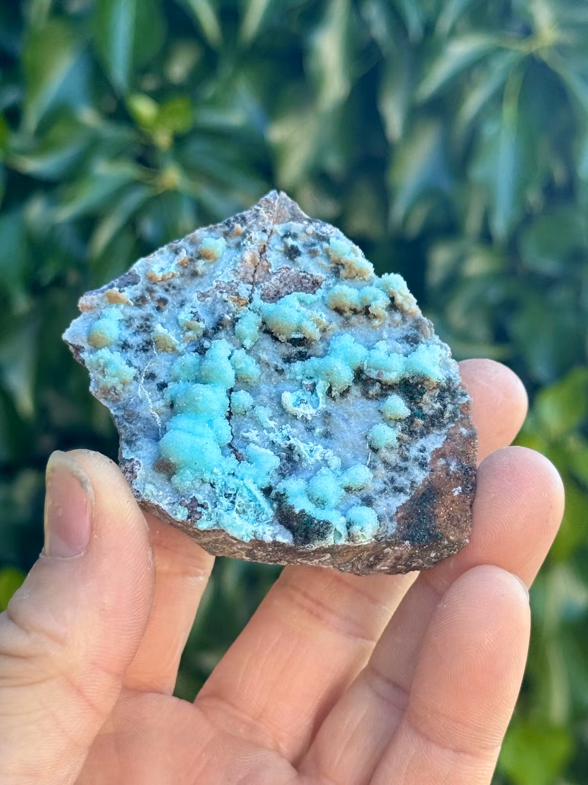 Krysokolla och Dolomit täckt av druzy bergkristall, AAA-kvalitet