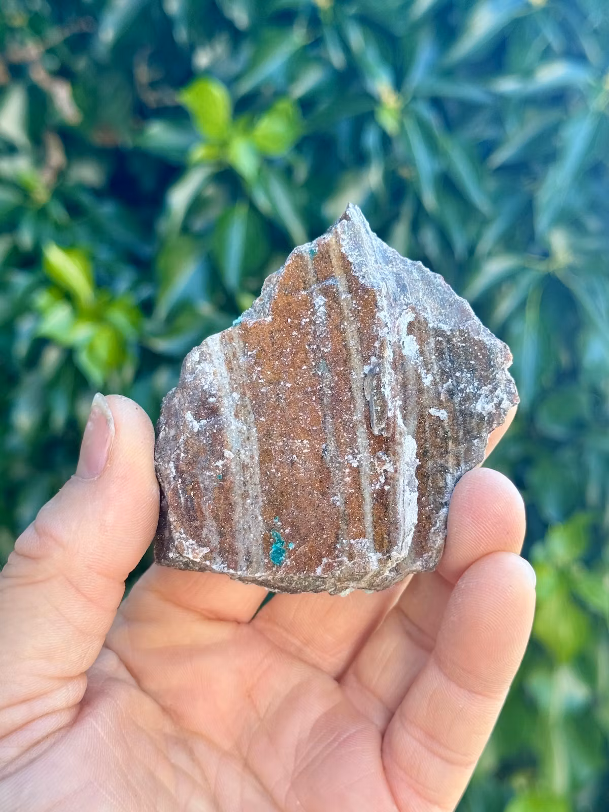 Krysokolla och Dolomit täckt av druzy bergkristall, AAA-kvalitet