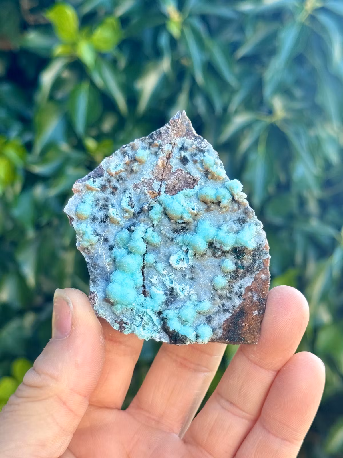 Krysokolla och Dolomit täckt av druzy bergkristall, AAA-kvalitet