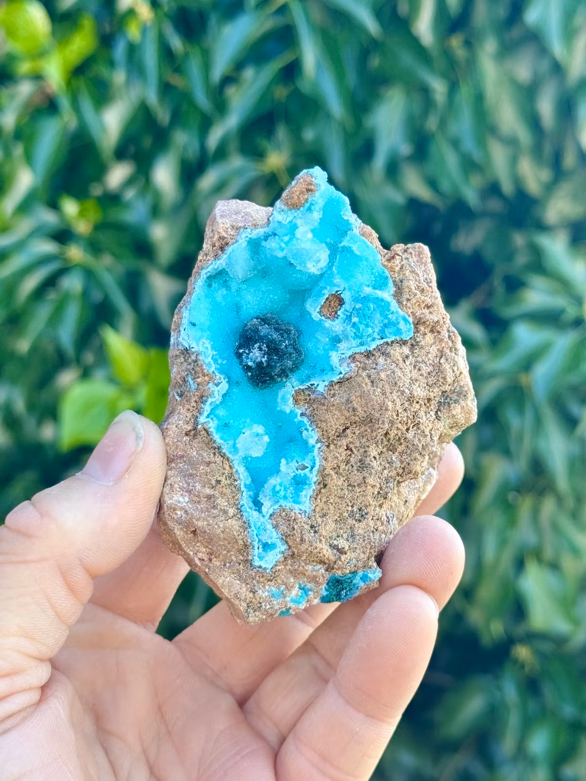 Krysokolla och Malakit täckt av druzy bergkristall, AAA-kvalitet