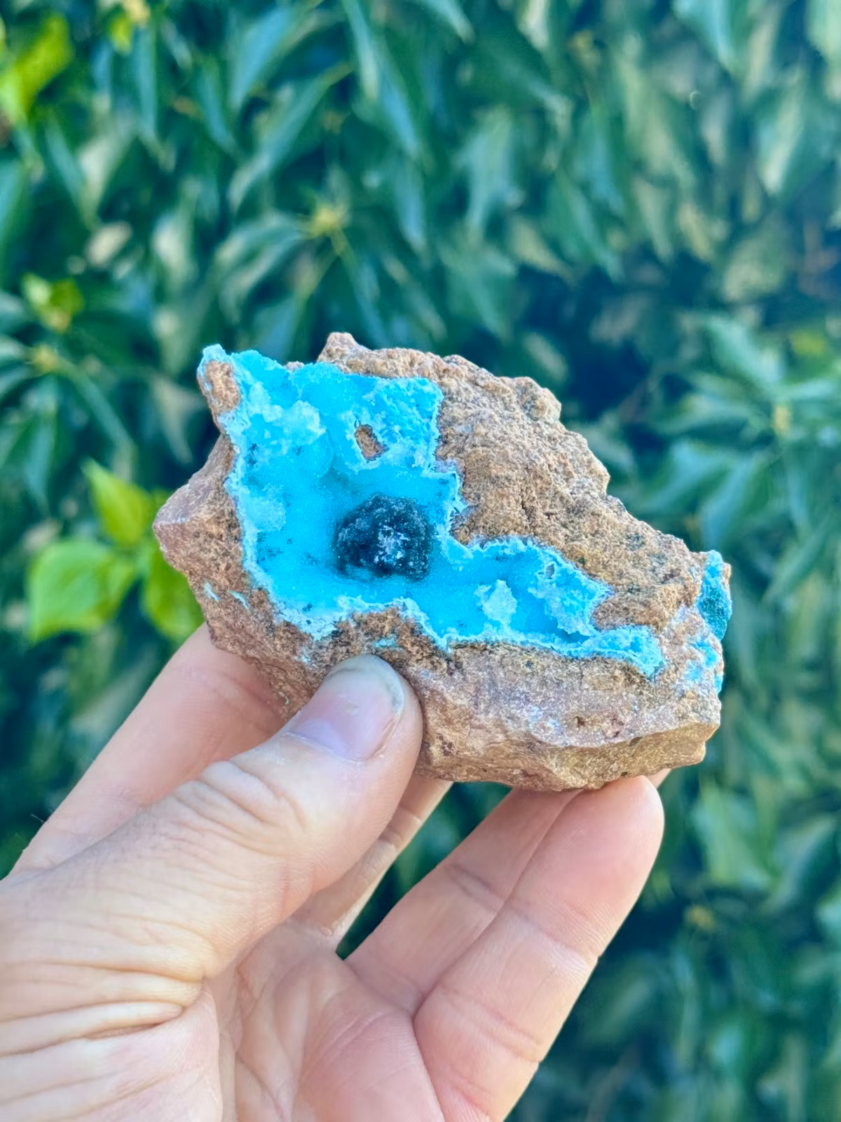 Krysokolla och Malakit täckt av druzy bergkristall, AAA-kvalitet