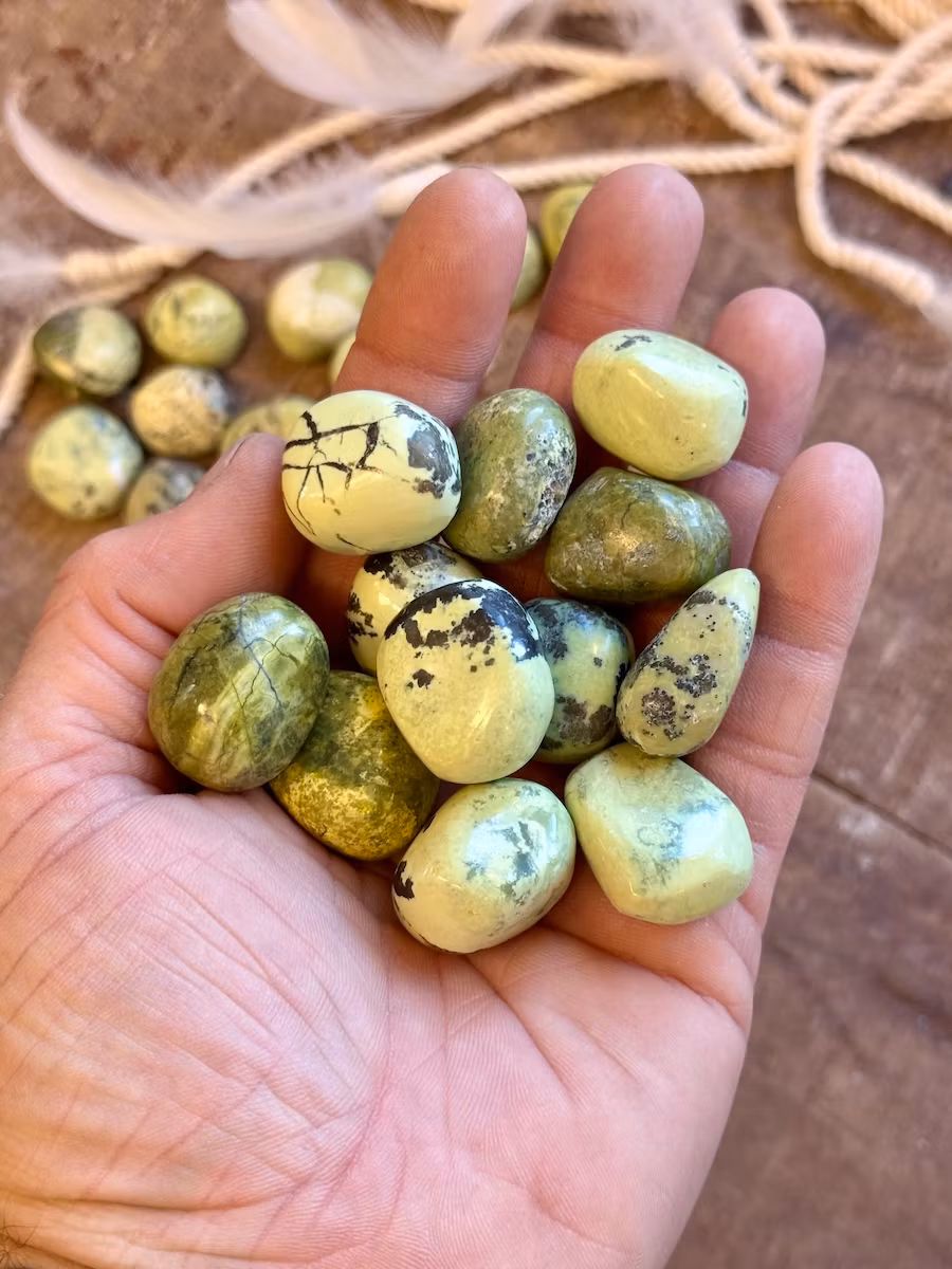 Serpentin (Chyta), trumlad