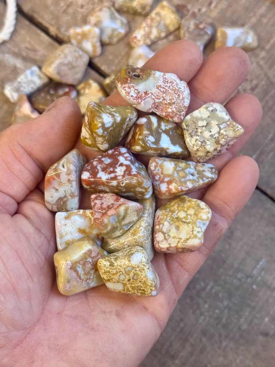 Ocean Jaspis, Orbicular, trumlad