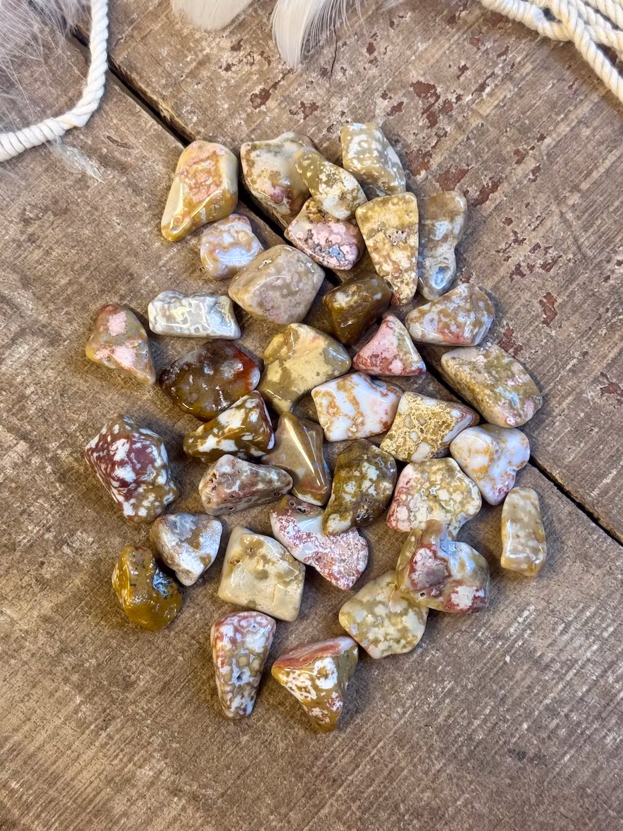 Ocean Jaspis, Orbicular, trumlad