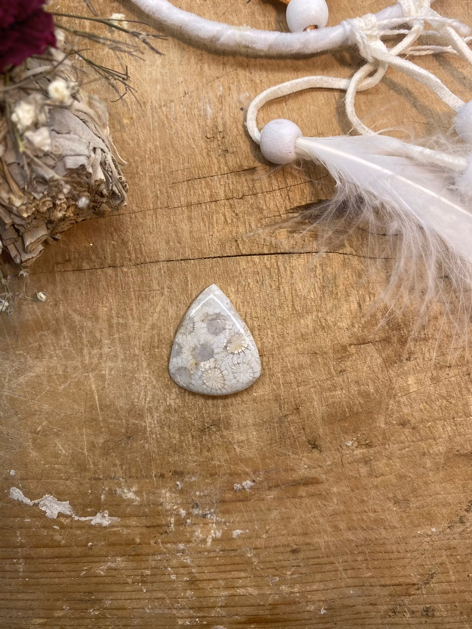 Cabochon (Förstenad Korall)