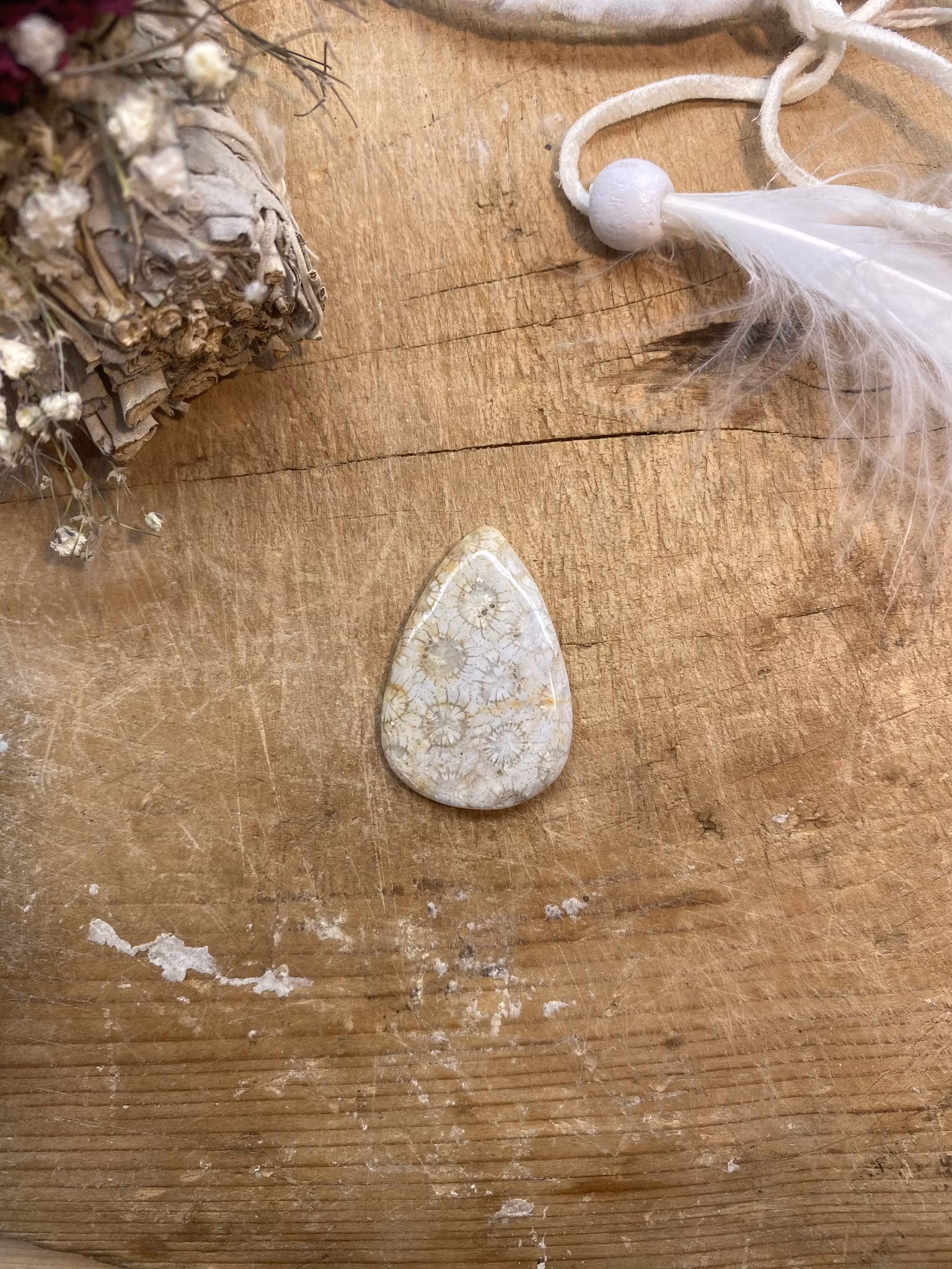 Cabochon (Förstenad Korall)