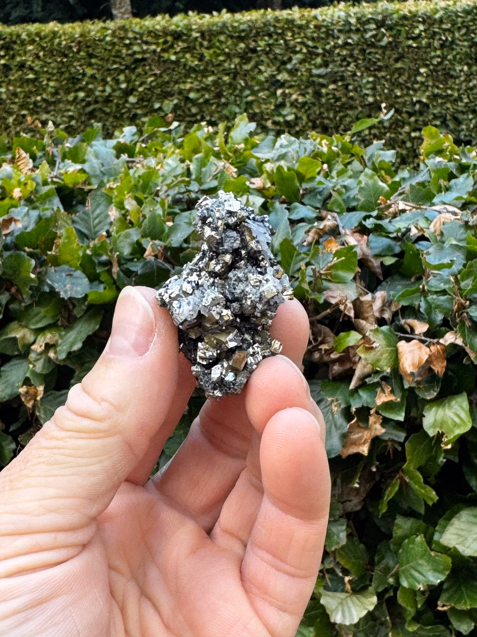 Pyritkluster med kalcitkristaller