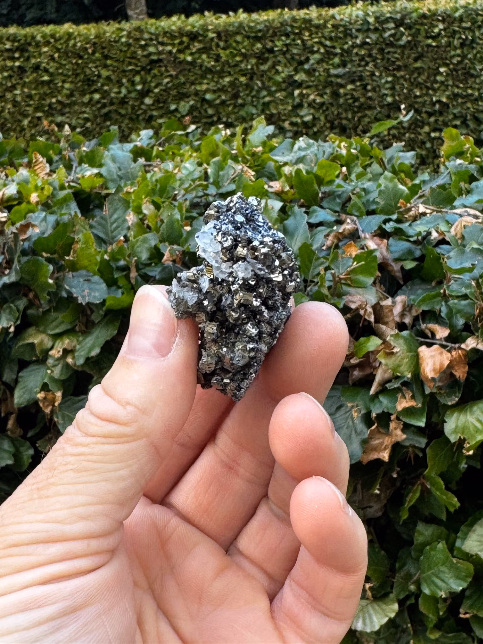 Pyritkluster med kalcitkristaller