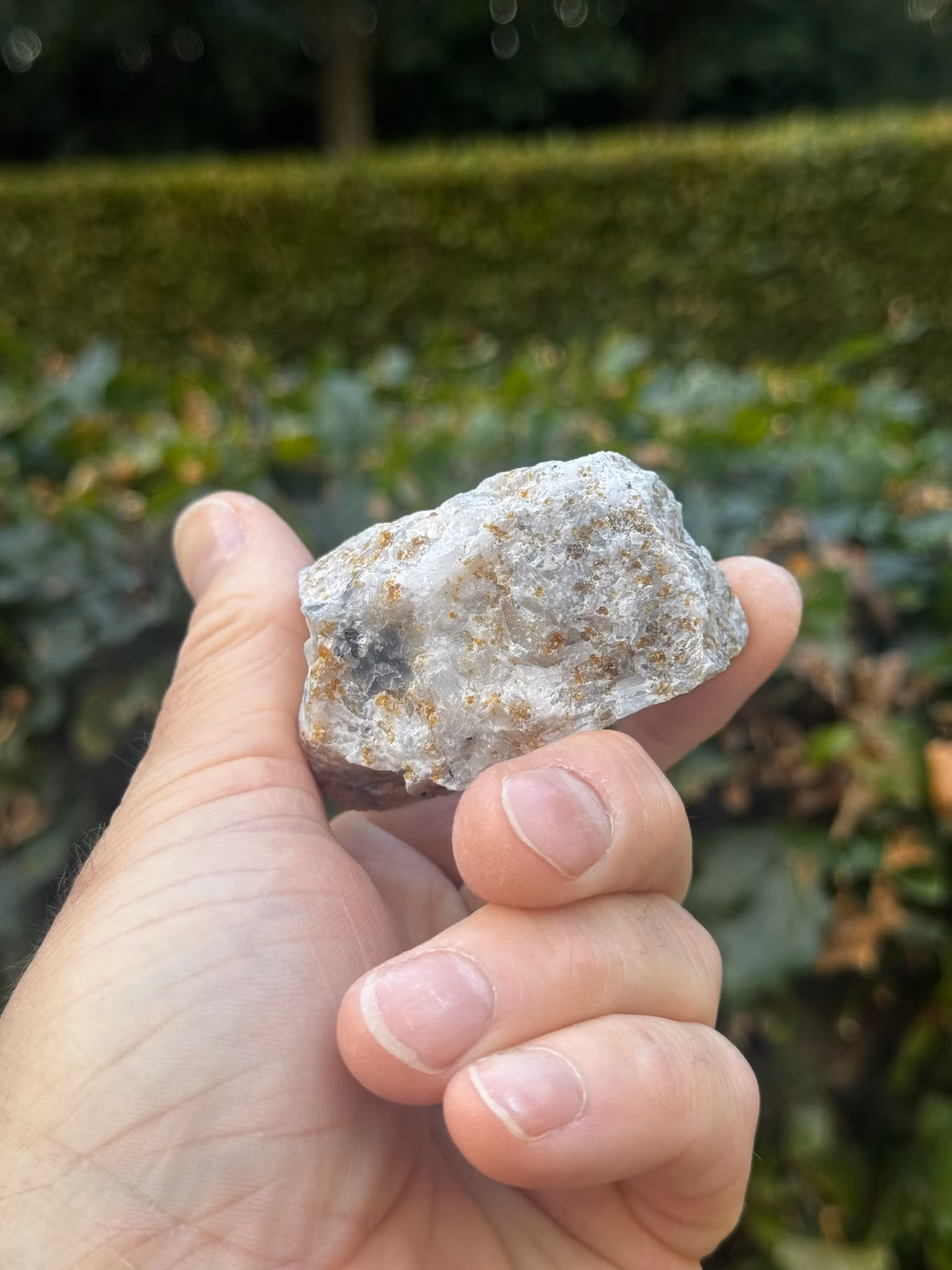 Norbergite (samlarobjekt)