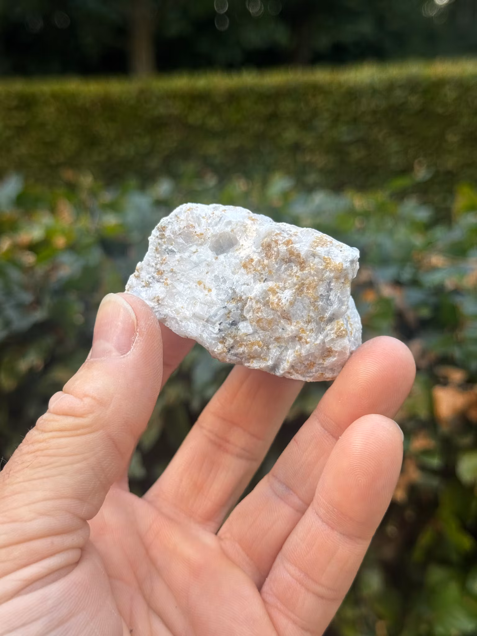 Norbergite (samlarobjekt)