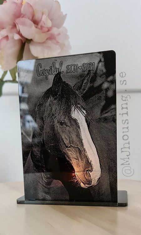 Glasklar Black Pälskling