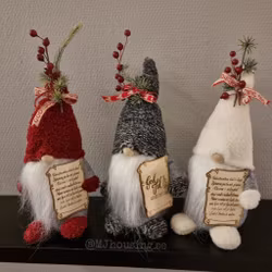Tomte med Budskap