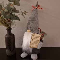 Tomte med Budskap