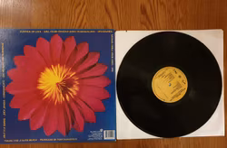 B-52s, Bouncing of the satellites. Vinyl LP
