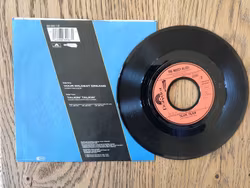 The Moody Blues, Your wildest dreams. Vinyl S