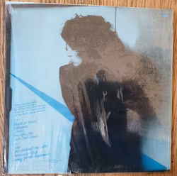Ellen Shipley, Breaking through the ice age. Vinyl LP