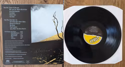 Pushtwangers, here we go again. Vinyl LP