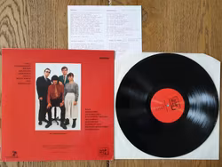 Müllstation, Wir sind dabei. Vinyl LP