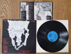 Adversity, Lost it all. Vinyl LP