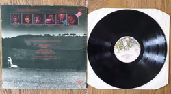 Brand X, Livestock. Vinyl LP