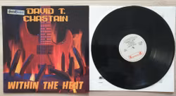 David T Chastain Within the heat, Vinyl LP