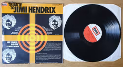 Jeff Cooper and the stoned wings, Tribute to Jimi Hendrix. Vinyl LP
