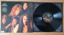 Dan Reed Network, Slam. Vinyl LP