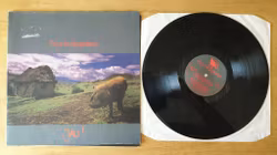 Fury in the slaughterhouse, Jau. Vinyl LP