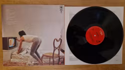 Mick Jagger, Shes the boss. Vinyl LP