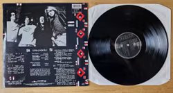 Sidewinders, Witchdoctor. Vinyl LP