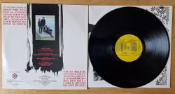 JR Gone Wild, Less art, more pop. Vinyl LP