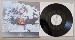 Van Halen, Why can´t this be love. Vinyl S 12"