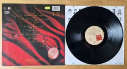 Barry Hay, Victory of bad taste. Vinyl LP