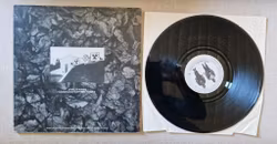 Flux of Pink Indians, Strive To Survive Causing Least Suffering Possible. Vinyl LP
