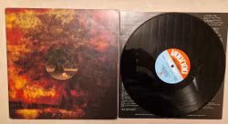 Movie Star Junkies, A poison tree. Vinyl LP