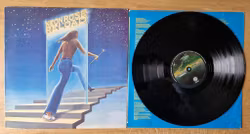 Neon Rose, Reload. Vinyl LP