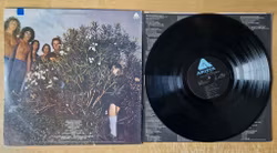 Mr Big, Photographic smile. Vinyl LP
