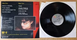 Russ Ballard, The fire still burns. Vinyl LP