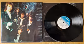 Waysted, Vices. Vinyl LP