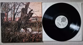 Black Sabbath, Black Sabbath. Vinyl LP
